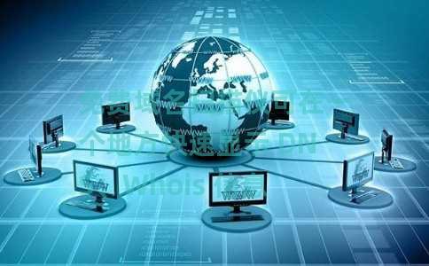 免费域名扫描仪可在一个地方快速显示 DNS、Whois 信息